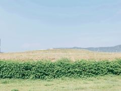 -光明小镇欢乐田园