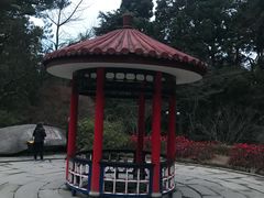 -庐山风景区花径公园