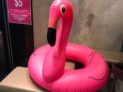 -Flamingo Bloom(TST /尖沙咀店)