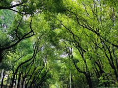 -七宝中学游泳馆