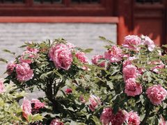 -大钟寺古钟博物馆