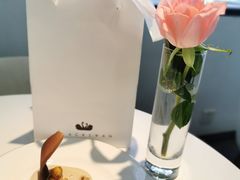 -BLACKSWAN黑天鹅(环球店)