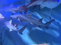 -波塞冬旅游度假区