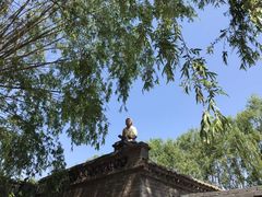 -白洋淀景区