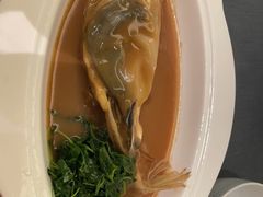 -沈灶河豚宴·河豚融合餐厅(汉中路店)