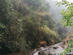-南昆山川龙瀑布