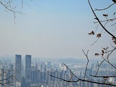 -桃花岭景区