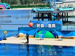 -秦皇岛乐岛海洋王国