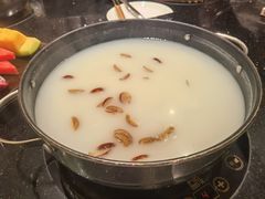 粥底火锅-金悦轩海鲜酒家(拱北店)