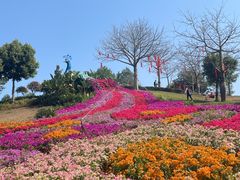 -东莞植物园