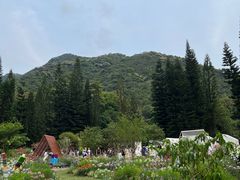 -深圳仙湖植物园
