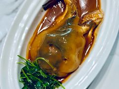 精品河豚-新光酒家·河豚·海鲜·蟹料理(浦东店)
