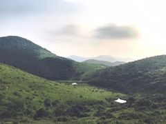 -大姆山草场