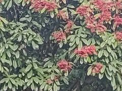 -白塘生态植物园