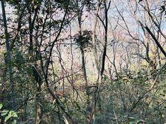 -九曜山