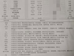 -联合动物医院(光谷诊疗中心)