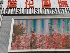 -莲花国际广场