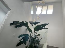 -FOLUNSI佛伦斯私人订制