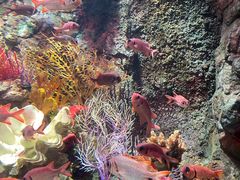 -太平洋海底世界