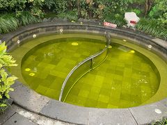 -杭州第一世界大酒店·云曼温泉