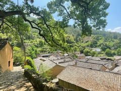 -杨家堂村