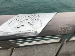 -星光大道