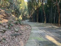-达蓬山旅游度假区
