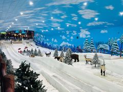 -世界之窗阿尔卑斯冰雪世界