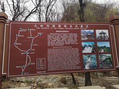 -大岭沟猕猴桃谷风景区