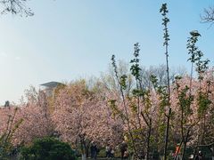-海棠花溪(元大都城垣遗址公园)