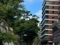 -香港大学