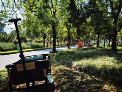-上海山野camping·户外天幕烧烤·团建拓展营地