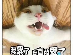 -泰合玺·精油疗愈SPA(南京光环花园城店)