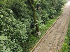 -九华山公园