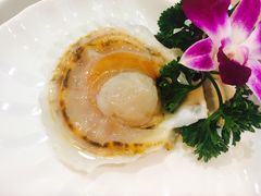 -贝鲜生卜卜贝海鲜火锅