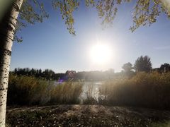 -大兴滨河森林公园