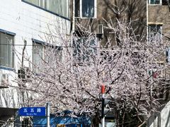 -南山健身公园