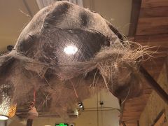 -泥糊破店小酒馆·团建聚餐(南京西路店)