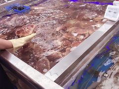 店内环境-盒马鲜生(大成店)