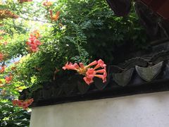 -檀园