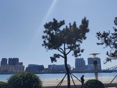 -星光岛