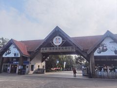 -上海海湾国家森林公园