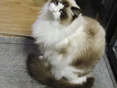 -零纪元VR体验馆·桌游(黄浦店)