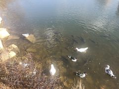 -大连外国语大学(旅顺校区)