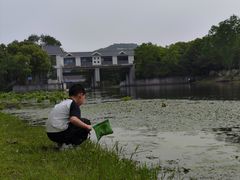 -长广溪湿地公园