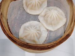 -老碗会·陕西手工面(前海世茂店)