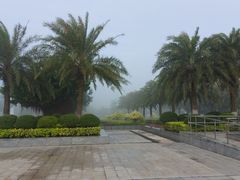 -北海金海湾红树林生态旅游区