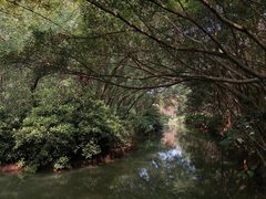 -大湾区中央湿地公园