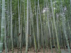 -陶祖圣境风景区