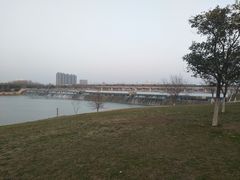 -灞河西岸滨河公园